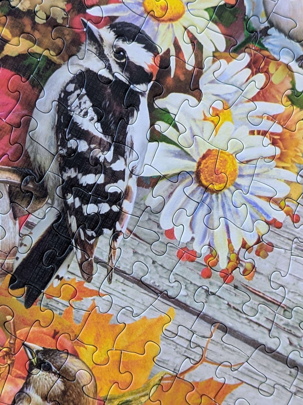 Cobble Hill Autumn Songbirds 500-Piece Puzzle - - Picture 4 of 7